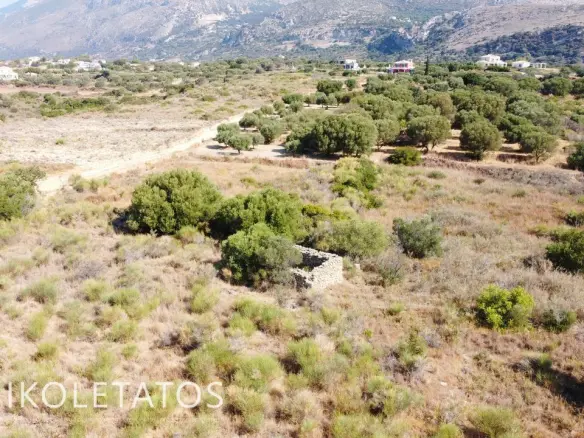 Land Of 1000 M² In Mavrata, Greece