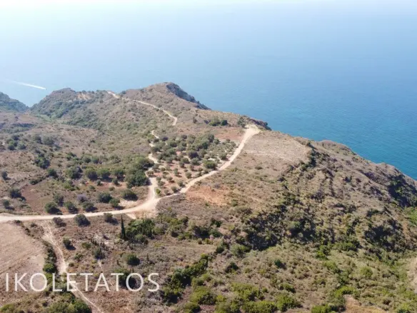 Land Of 1000 M² In Mavrata, Greece