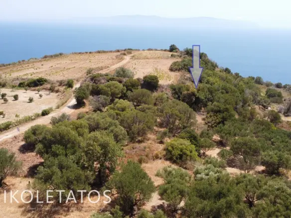 Discover Your Dream Property In Mavrata, Greece
