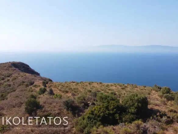 Land Of 1000 M² In Mavrata, Greece