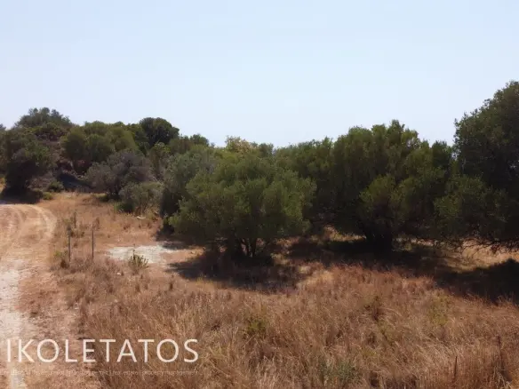 Discover Your Dream Property In Mavrata, Greece