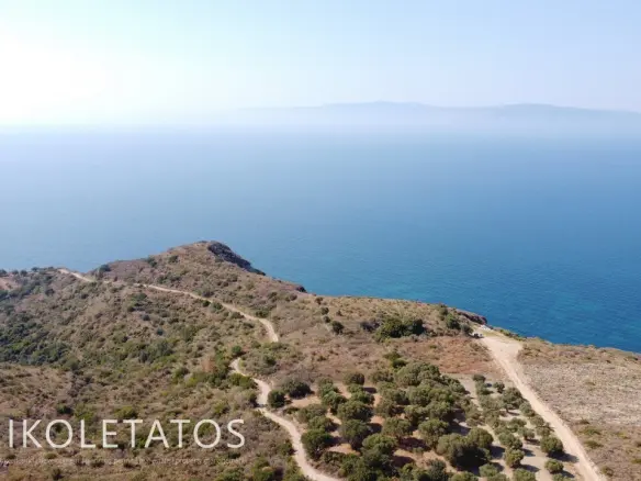 Land Of 1000 M² In Mavrata, Greece