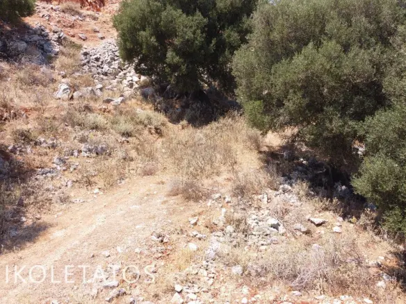 Discover Scenic Land In Skala Gradou, Greece