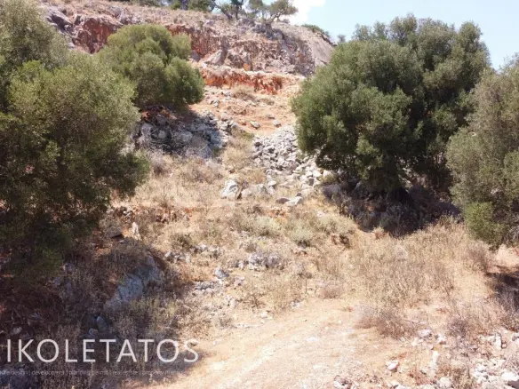Discover Scenic Land In Skala Gradou, Greece