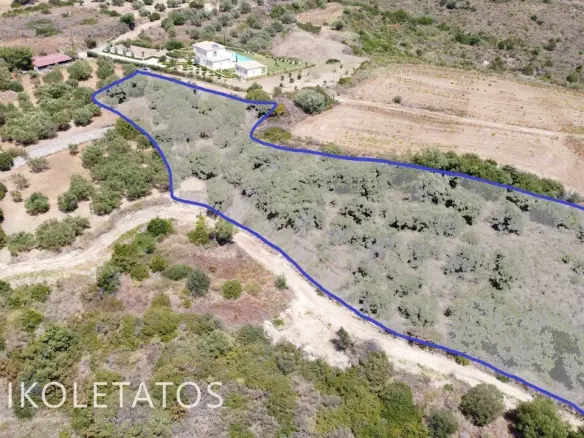 Discover Your Dream Property In Mavrata, Greece
