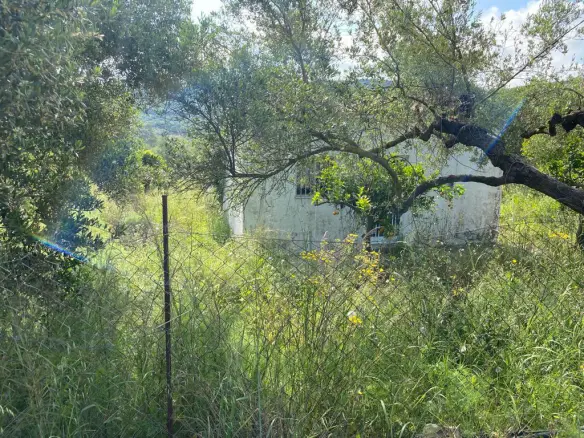 Land In Kolimvari, Greece