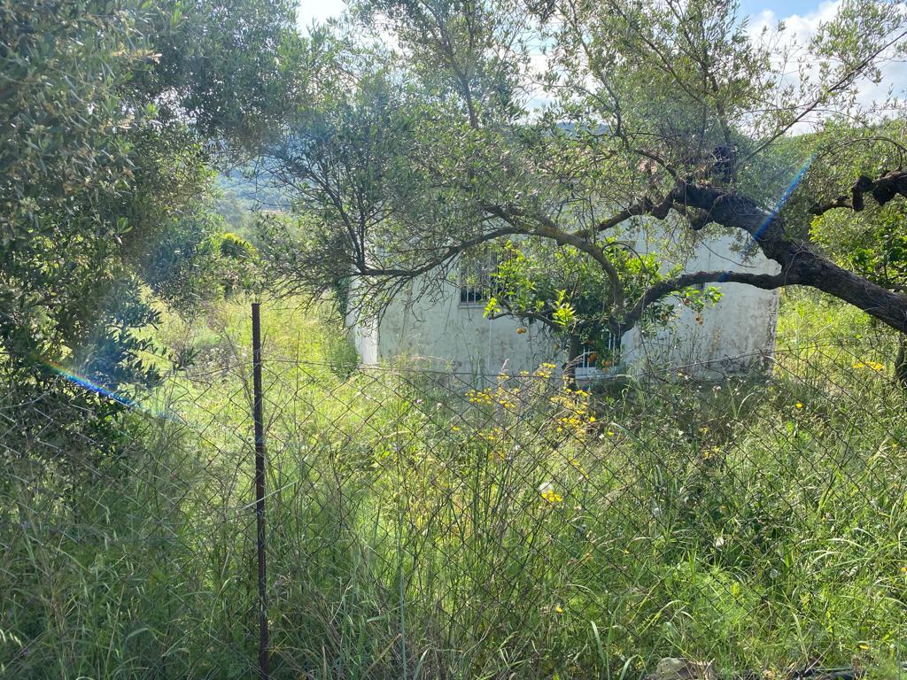 Land Of 2199 M² In Crete