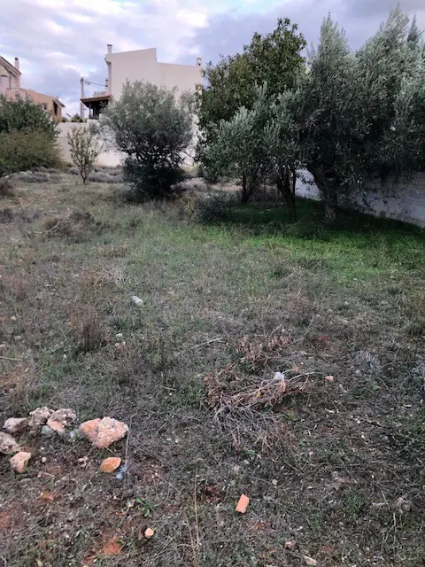 Land Of 800 M² In Attica