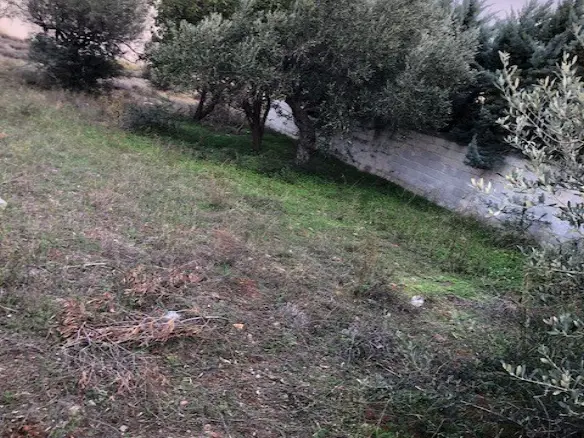 Land In Kalivia Thorikou, Greece