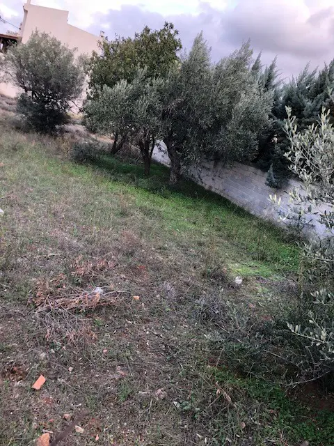 Land Of 800 M² In Attica