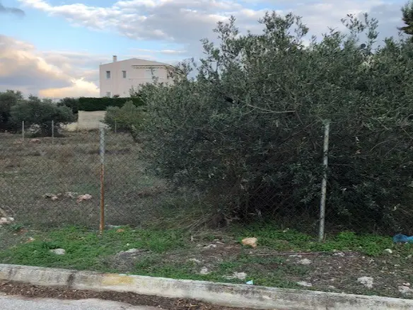 Land In Kalivia Thorikou, Greece