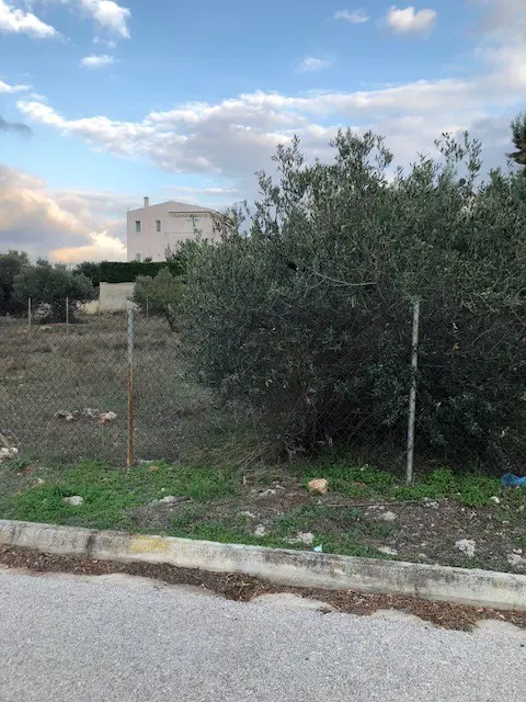 Land Of 800 M² In Attica
