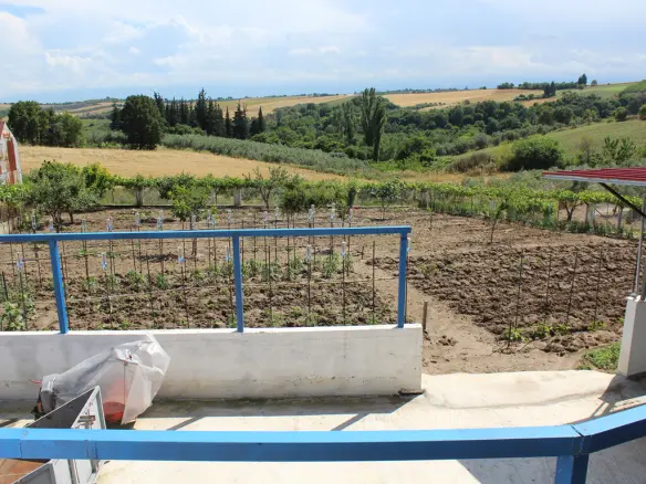 2-bedroom Detached House In Pidna, Greece (285 M²)