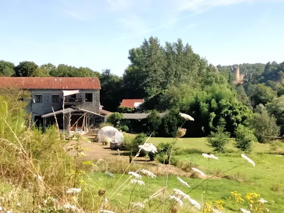 Loft Of 4 Beds, 2.5 Ha With Old Stone, Riverside, New York Style, Views, Outbuildings In Lessac (86)