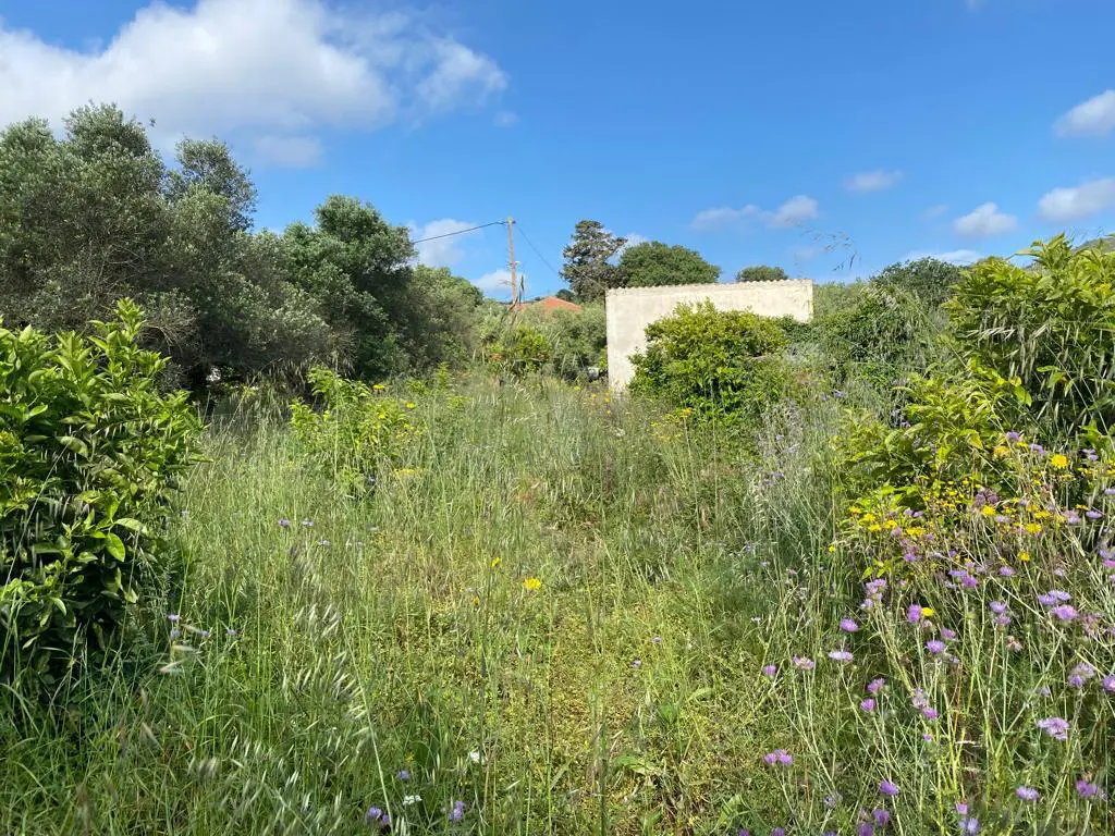 Land Of 2199 M² In Crete
