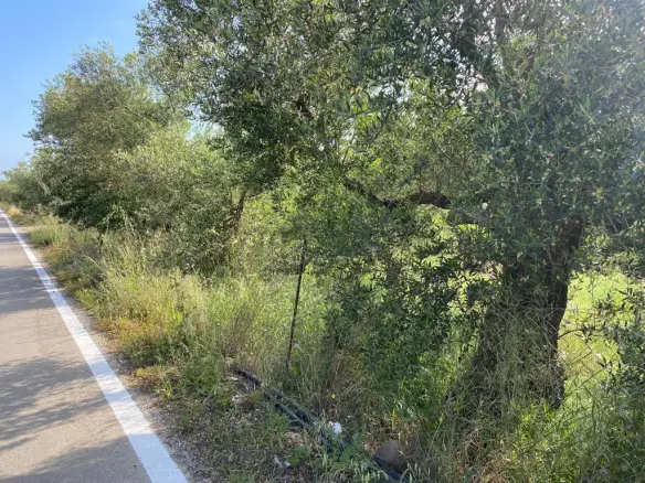 Land In Kolimvari, Greece