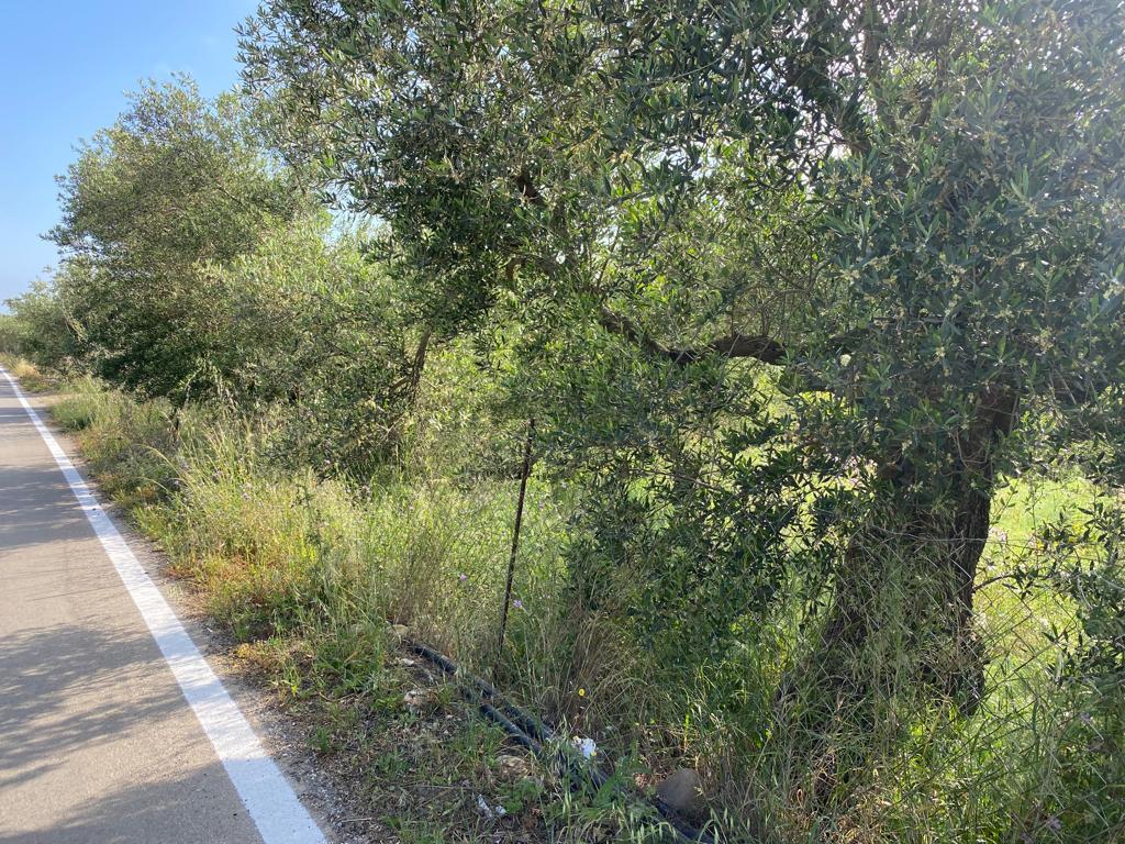 Land Of 2199 M² In Crete