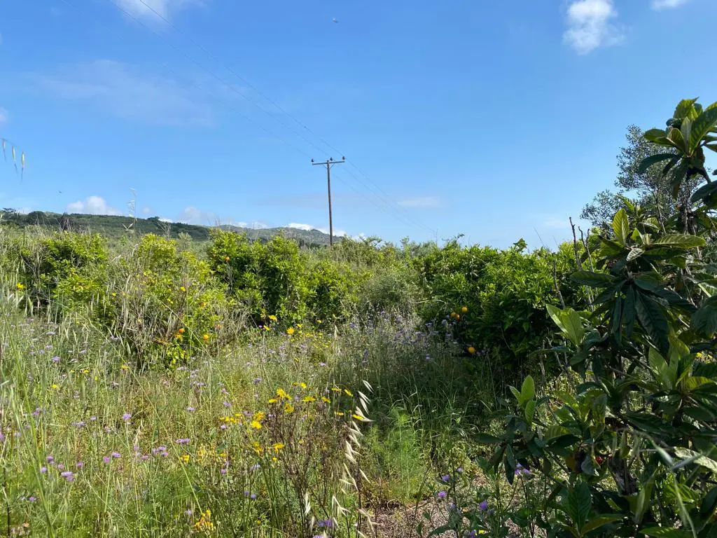 Land Of 2199 M² In Crete