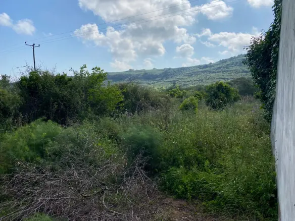 Land In Kolimvari, Greece