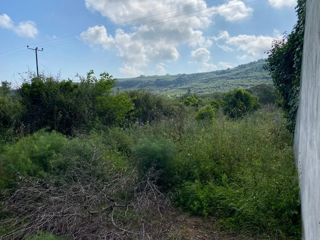 Land Of 2199 M² In Crete
