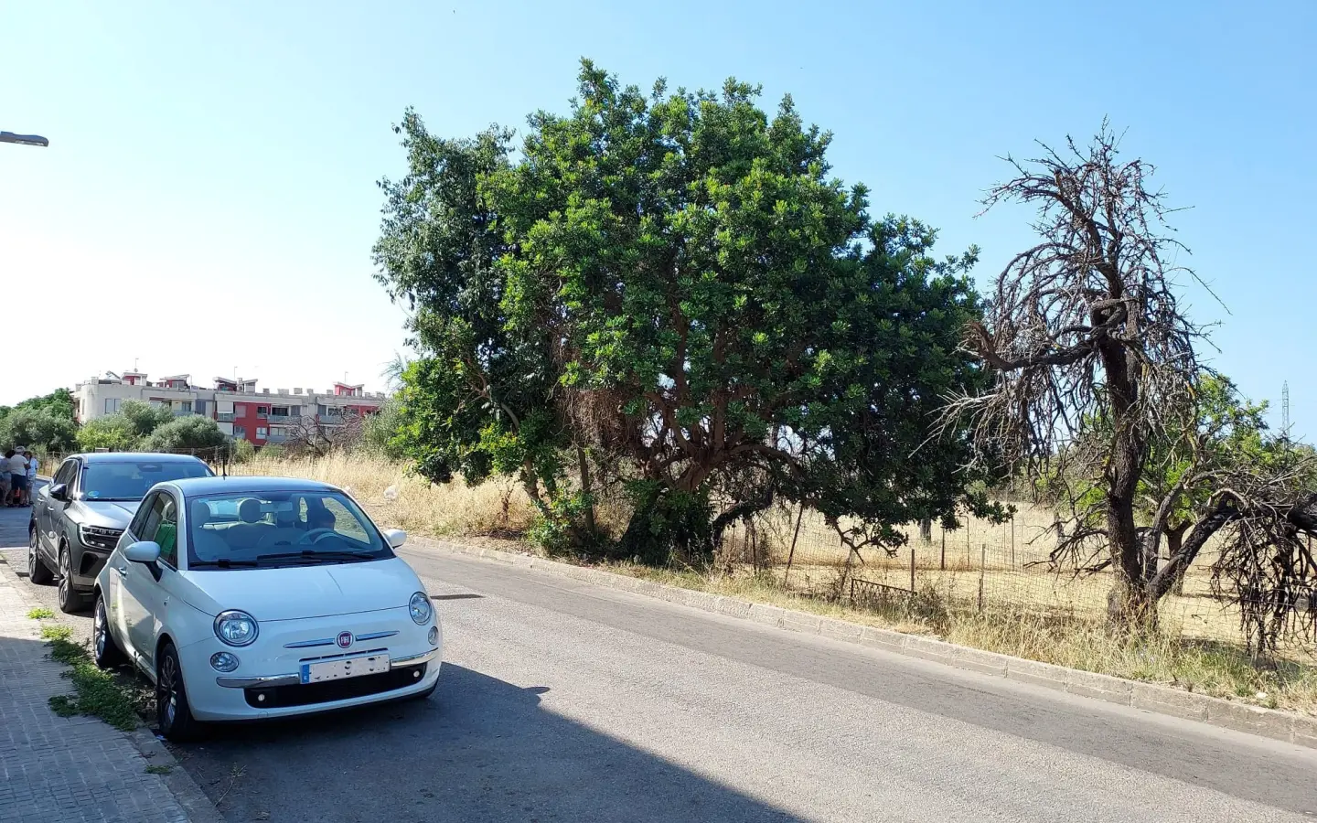 Land In Inca, Spain (4.574 M² Plot)