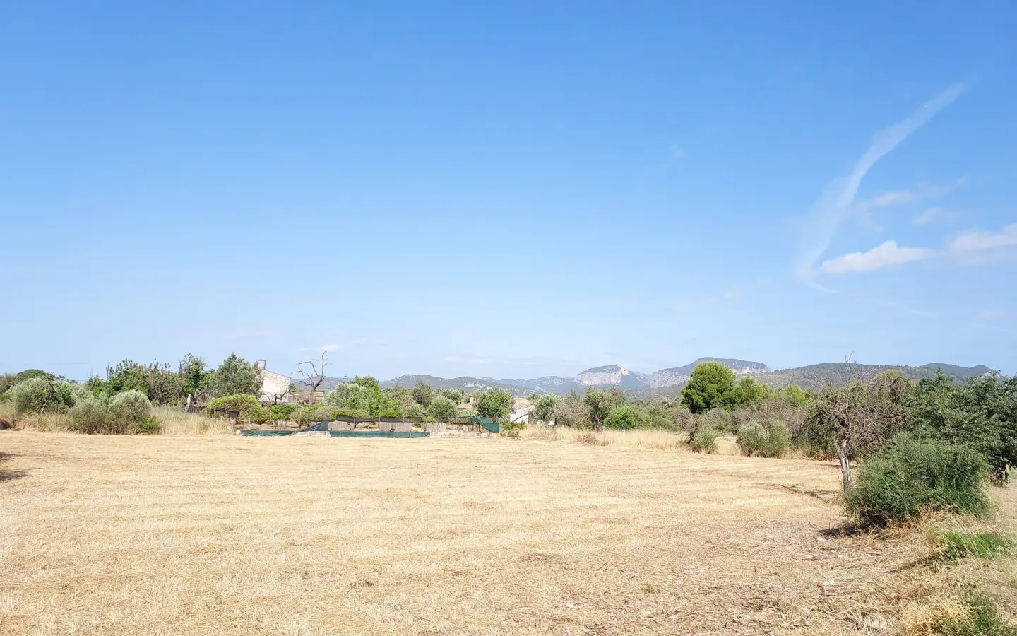 Land In Inca, Spain (4.574 M² Plot)
