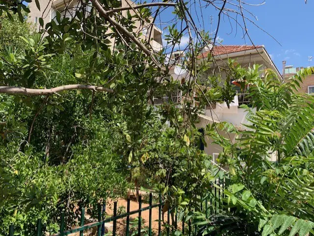 Land Of 470 M² In Athens