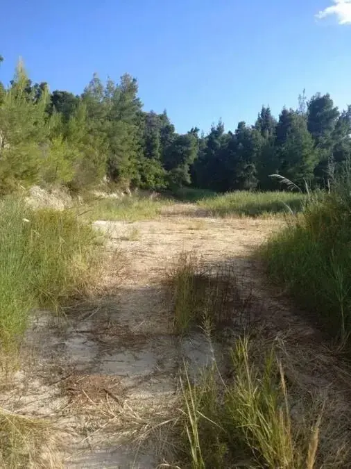 Land Of 4500 M² In Kassandra, Chalkidiki