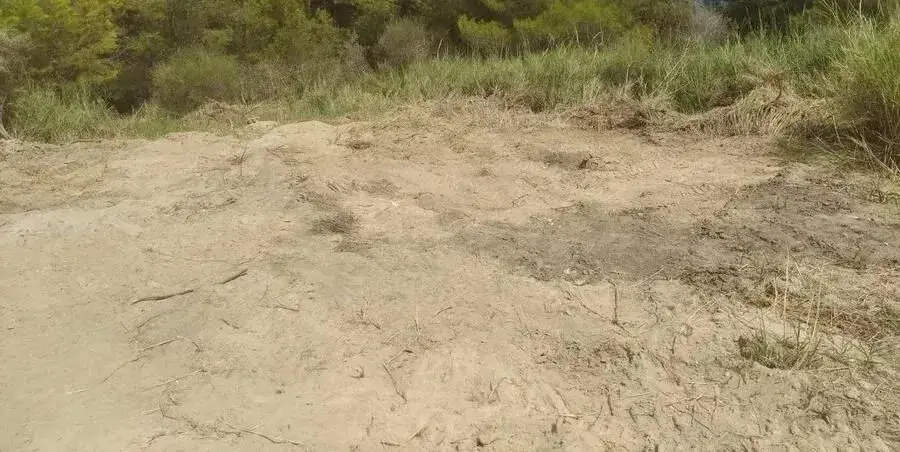 Land Of 4500 M² In Kassandra, Chalkidiki