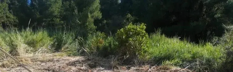 Land Of 4500 M² In Kassandra, Chalkidiki