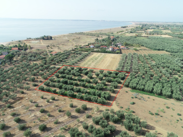 Land Of 4010 M² In Chalkidiki
