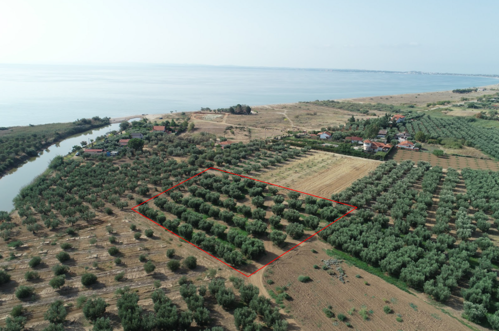 Land Of 4010 M² In Chalkidiki
