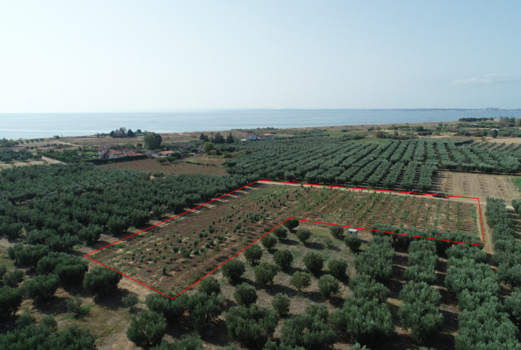 Land Of 4811 M² In Chalkidiki