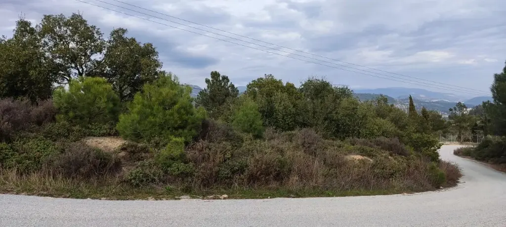 Land Of 6314 M² In Kavala