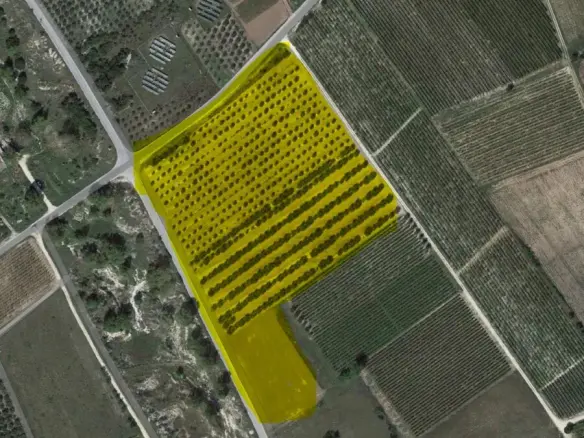 Land Of 34000 M² In Kavala Suburbs