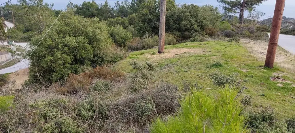 Land Of 6314 M² In Kavala