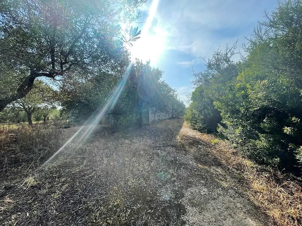 Building Of 200 M² In Corfu