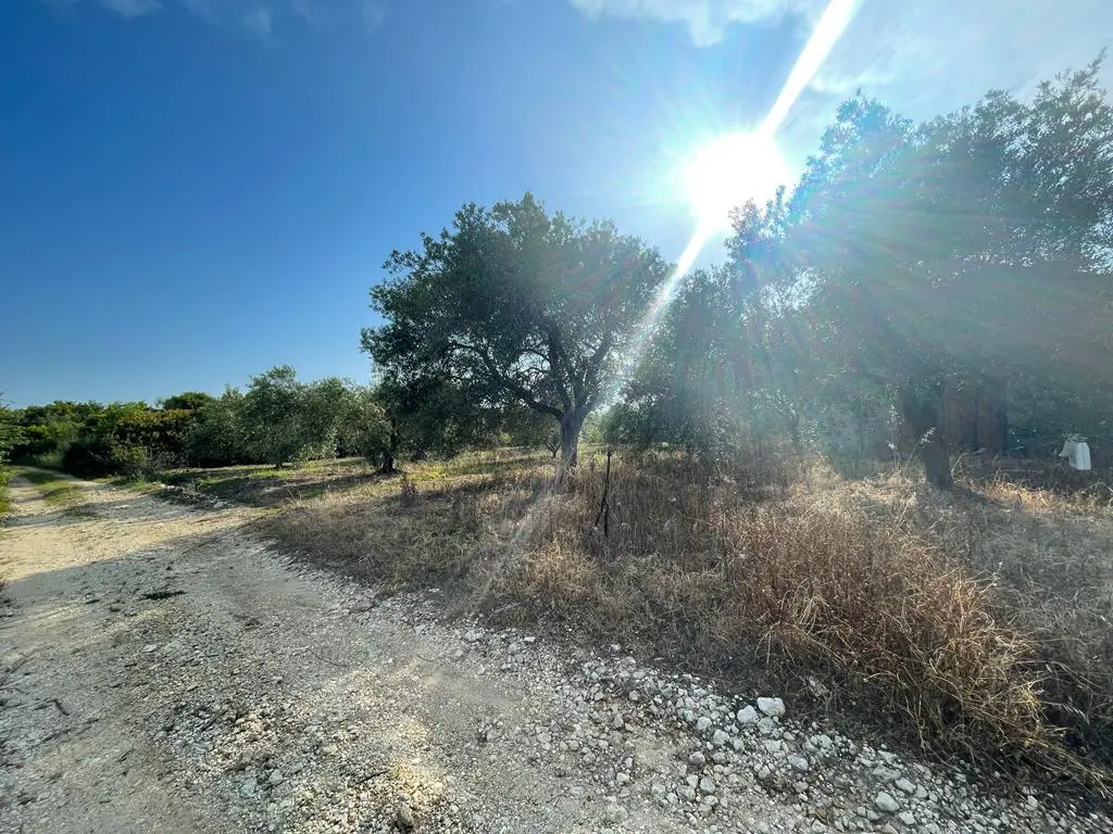 Building Of 200 M² In Corfu