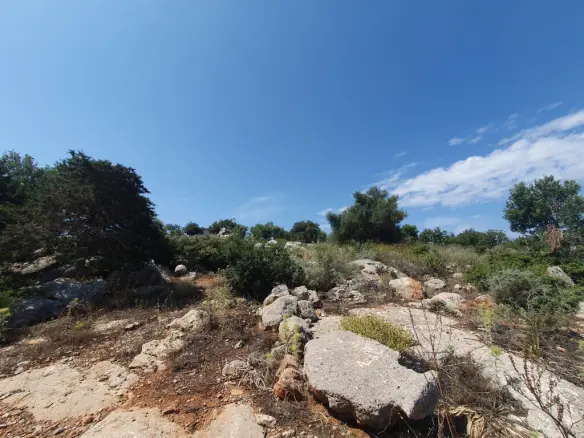 Land Of 18977 M² In Crete