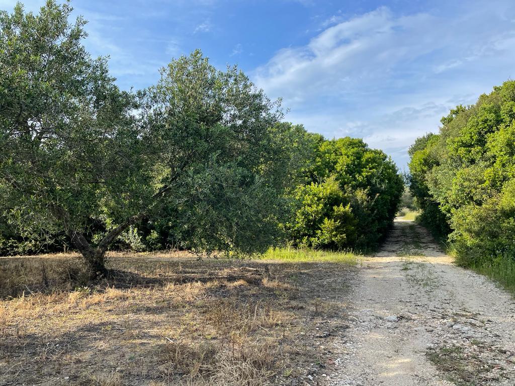 Building Of 200 M² In Corfu
