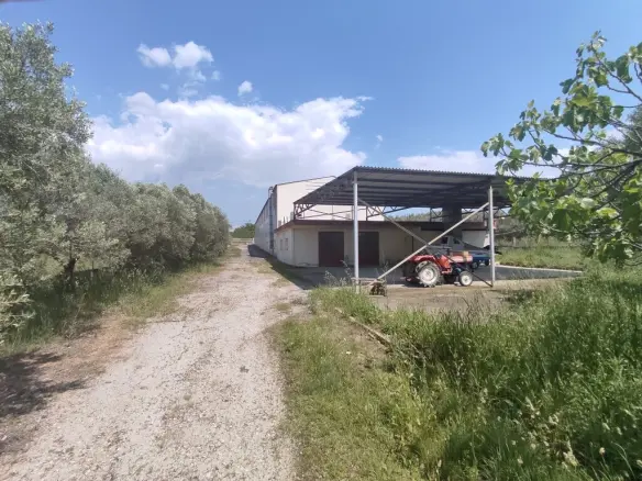 Building Of 900 M² In The Suburbs Of Thessaloniki