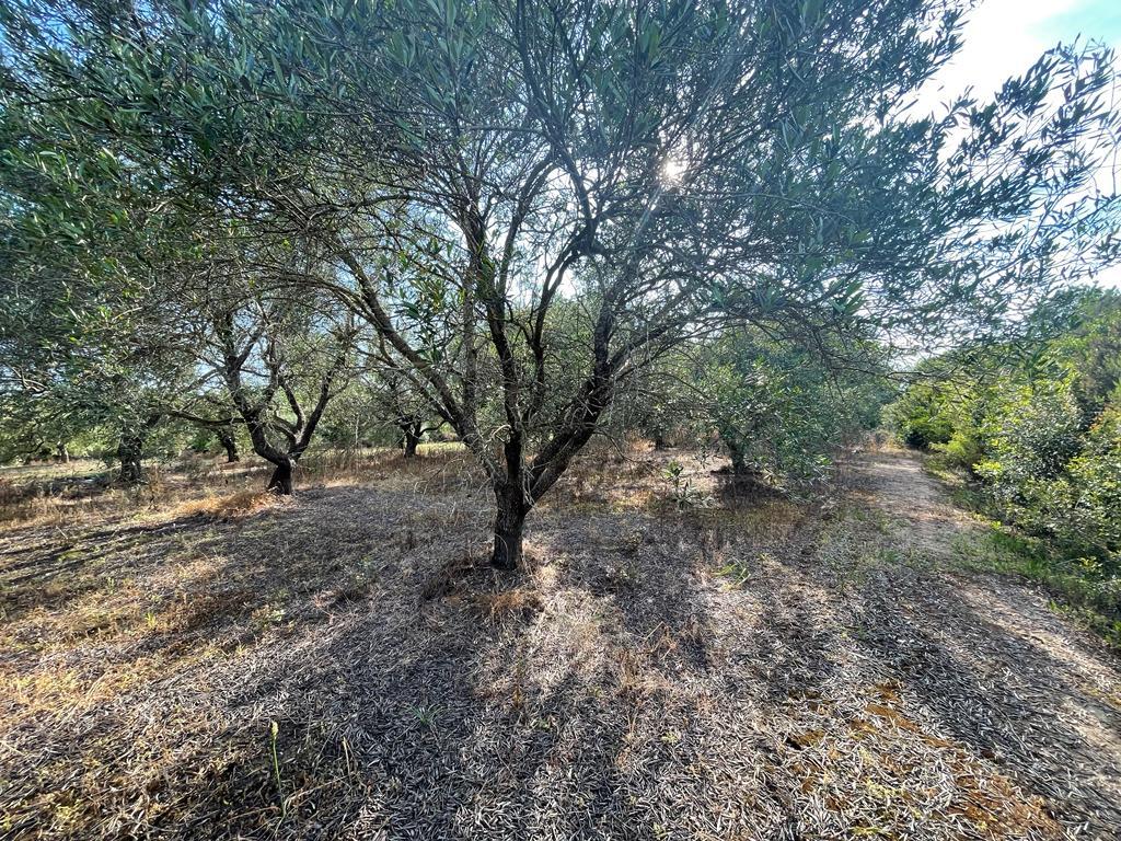 Building Of 200 M² In Corfu