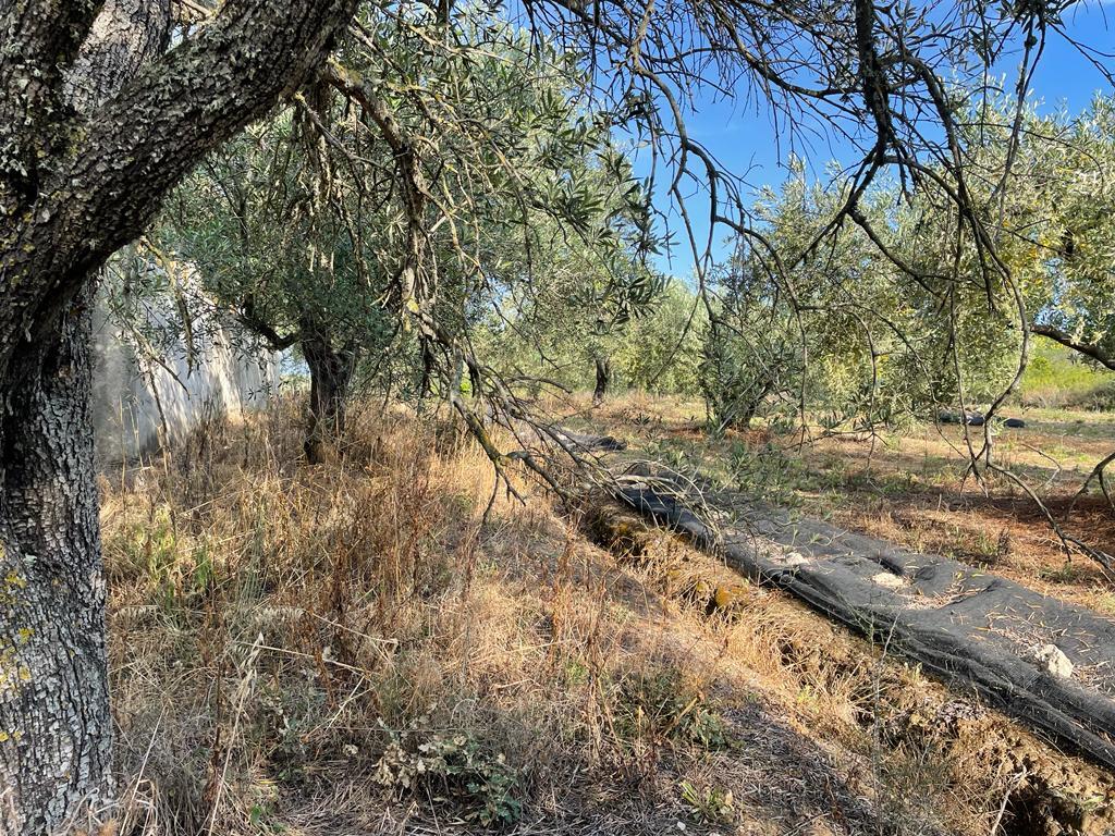 Building Of 200 M² In Corfu