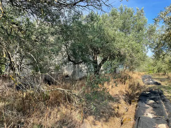 Κτίριο στην Κέρκυρα, Ελλάδα (200 Τ.Μ.)