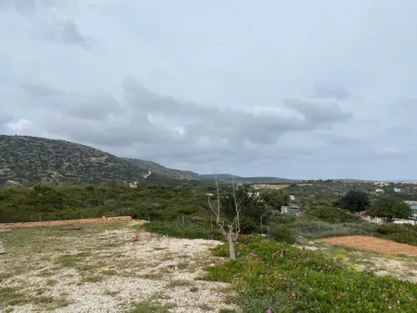 Land Of 11799 M² In Crete