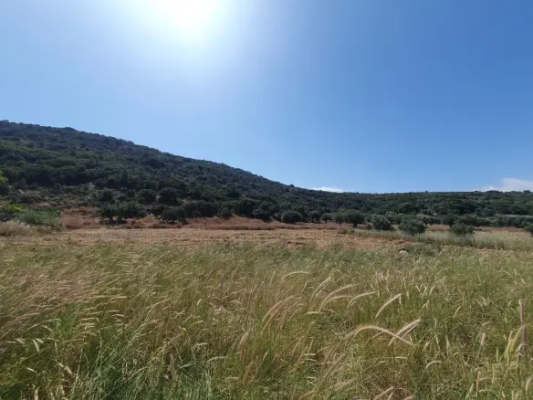 Land Of 28752 M² In Crete