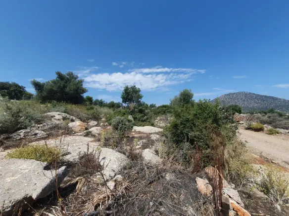 Land Of 18977 M² In Crete