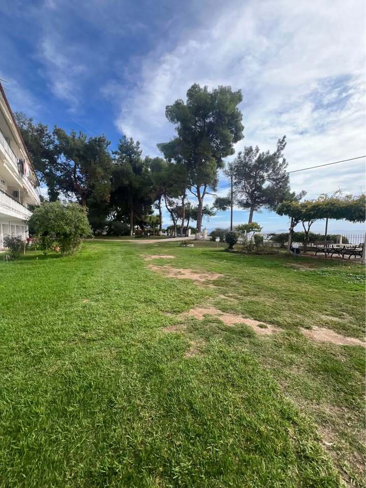 Flat Of 58 M² In Sithonia, Chalkidiki