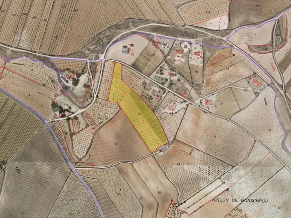 Land 0 M² In Pinoso, Spain