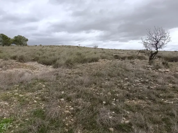 Land 0 M² In Abanilla, Spain